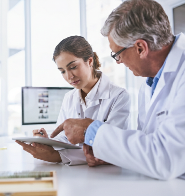 Наша команда