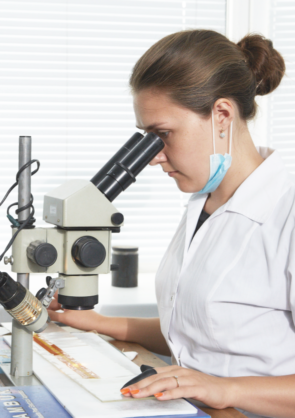 Напрямки досліджень